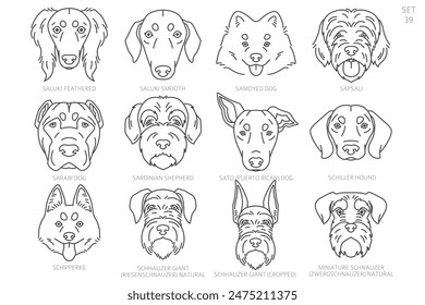 Dog head Silhouettes in alphabet order. All dog breeds. Simple line vector design. Vector illustration