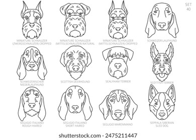 Dog head Silhouettes in alphabet order. All dog breeds. Simple line vector design. Vector illustration