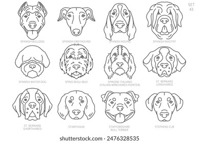 Dog head Silhouettes in alphabet order. All dog breeds. Simple line vector design. Vector illustration