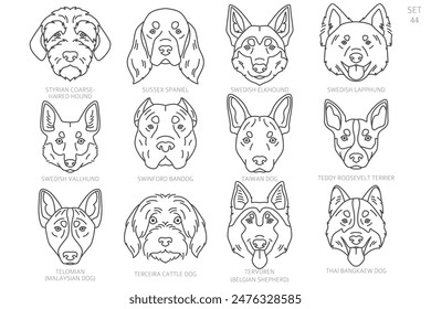 Dog head Silhouettes in alphabet order. All dog breeds. Simple line vector design. Vector illustration