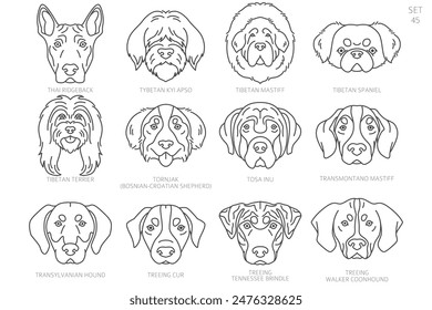 Dog head Silhouettes in alphabet order. All dog breeds. Simple line vector design. Vector illustration