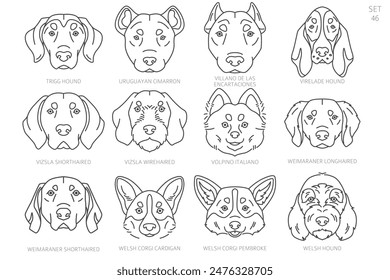 Dog head Silhouettes in alphabet order. All dog breeds. Simple line vector design. Vector illustration