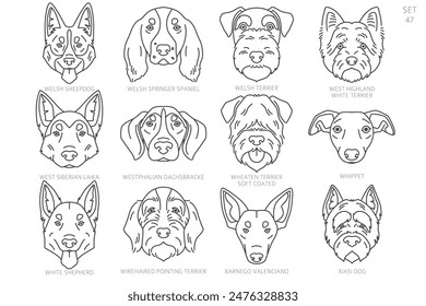 Dog head Silhouettes in alphabet order. All dog breeds. Simple line vector design. Vector illustration