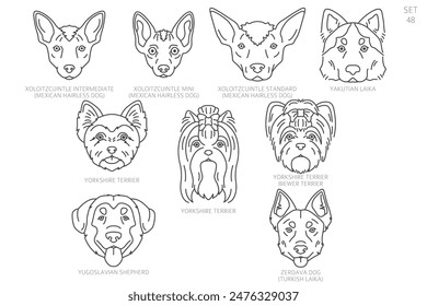 Cabeza de perro Siluetas en orden alfabético. Todas las razas de perros. Diseño de Vector de línea simple. Ilustración vectorial