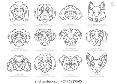 Dog head Silhouettes in alphabet order. All dog breeds. Simple line vector design. Vector illustration