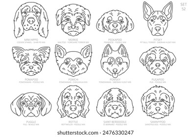 Cabeza de perro Siluetas en orden alfabético. Todas las razas de perros. Diseño de Vector de línea simple. Ilustración vectorial