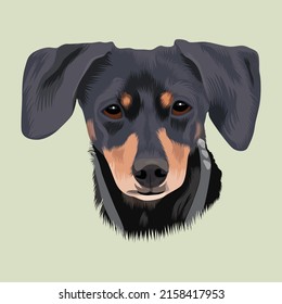 Dog Head Vector Design With Baby Green Color Background