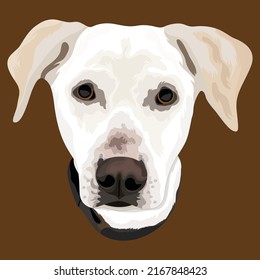 Dog Head Vector Design With Chocolate Color Background