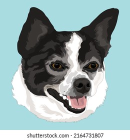 Dog Head Vector Design With Robin Color Background