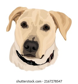 Dog Head vector Design With White Color Background