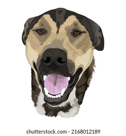 Dog Head Vector Design With White Color Background