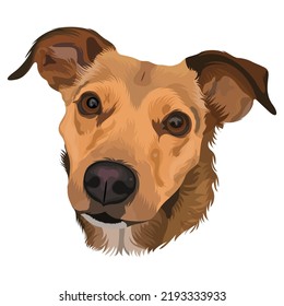 Dog Head vector Design With White color Background