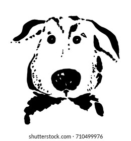Dog head vector freehand drawing. Ink brush sketch.