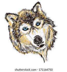 the dog head vector illustration