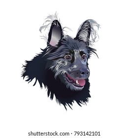 Dog. Head. Vector illustration.