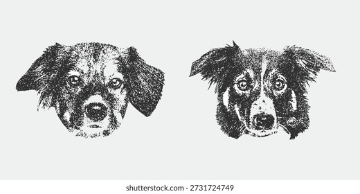 Dog head  in witch hat with collage element with retro grainy texture, black and white sketch depicts the faces of two adorable fluffy dogs facing forward