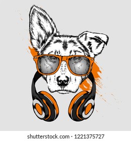 Dog with headphones. Funny puppy. Vector illustration for greeting card or poster, print on clothes.