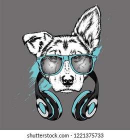 Dog with headphones. Funny puppy. Vector illustration for greeting card or poster, print on clothes.