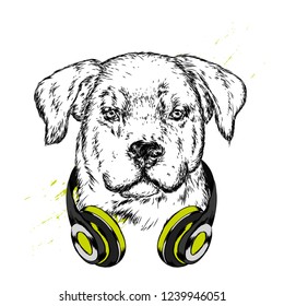 Dog with headphones. Funny puppy. Vector illustration for greeting card or poster, print on clothes.