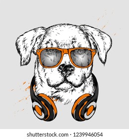 Dog with headphones. Funny puppy. Vector illustration for greeting card or poster, print on clothes.