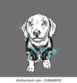 Dog with headphones. Funny puppy. Vector illustration for greeting card or poster, print on clothes.