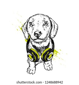 Dog with headphones. Funny puppy. Vector illustration for greeting card or poster, print on clothes.