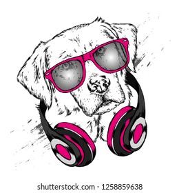 Dog with headphones. Funny puppy. Vector illustration for greeting card or poster, print on clothes.