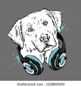 Dog with headphones. Funny puppy. Vector illustration for greeting card or poster, print on clothes.