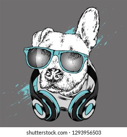 Dog with headphones. Funny puppy. Vector illustration for greeting card or poster, print on clothes.