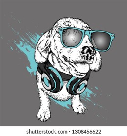 Dog with headphones. Funny puppy. Vector illustration for greeting card or poster, print on clothes.