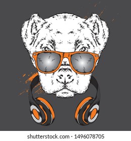 Dog with headphones. Funny puppy. Vector illustration for greeting card or poster, print on clothes.