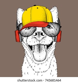 A dog in headphones. Hipster dog in cap. Vector illustration