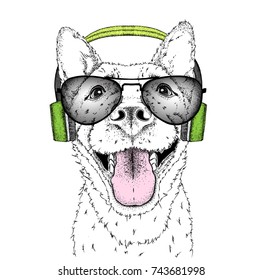 A dog in headphones. Hipster dog. Vector illustration