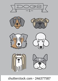 Dog heads. Isolated. doberman, pug, australian shepherd, poodle, shih tzu, french bulldog