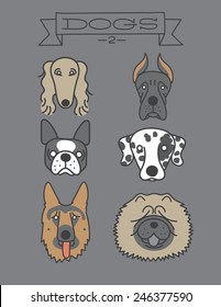 dog heads. Isolated. Saluki, great dane, boston terrier, dalmatian, german shepherd, chow chow.