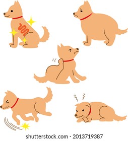 Dog health illness symptom illustration material set