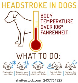 Golpe de calor de perro. Qué hacer. Infografía médica. Afiche veterinario. Información útil. Tu concepto de bienestar de mascota. Ilustración vectorial editable aislada sobre un fondo blanco