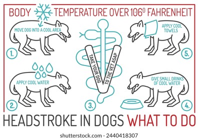 Golpe de calor de perro. Qué hacer. Infografía médica. Cartel de veterinario de paisaje. Información útil. Tu concepto de bienestar de mascota. Estilo de línea. Ilustración vectorial editable aislada sobre un fondo blanco