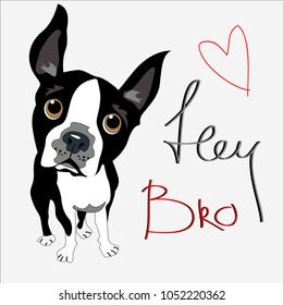 dog hey bro vector illustration 