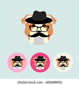 dog hipster