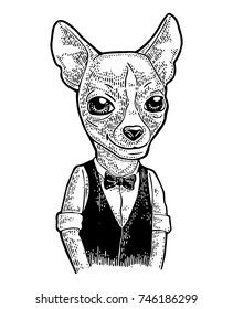 Dog hipster in bow tie and waistcoat. Vintage black engraving illustration for poster. Isolated on white background