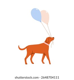 Cão segurando balões na boca. Bonito filhote de cachorro festivo andando com balões de hélio na boca mandíbulas, vista lateral. Feliz canino animal de férias. Ilustração de vetor plano isolada no plano de fundo branco