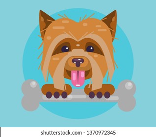 The dog holds the bone. Head of a cute puppy of a bichon close up. Icon, symbol, avatar. Flat Vector Illustration