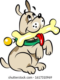 a dog holds a bone in its teeth