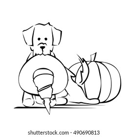 dog holds witch hat pumpkin in the background, illustration of halloween, line icon