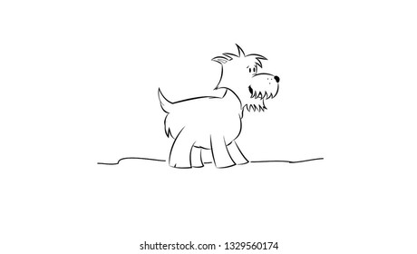 Dog at home or dog on the beach?