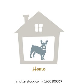 Dog at home. Pet house.