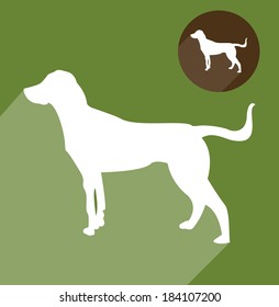 Dog, hound