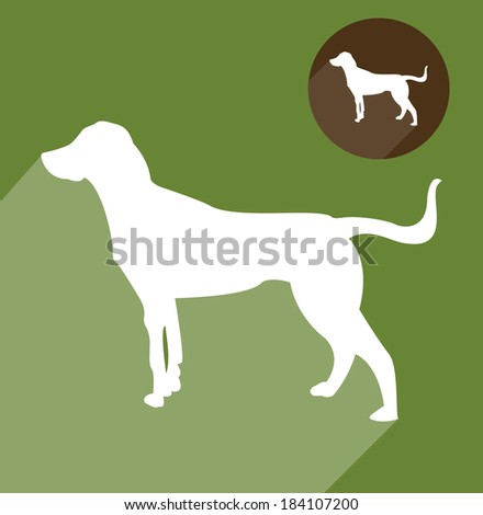 Dog, hound
