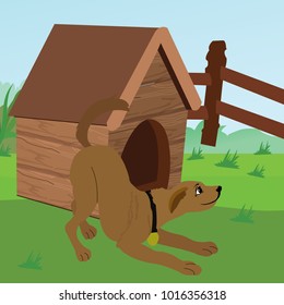 Dog with dog house